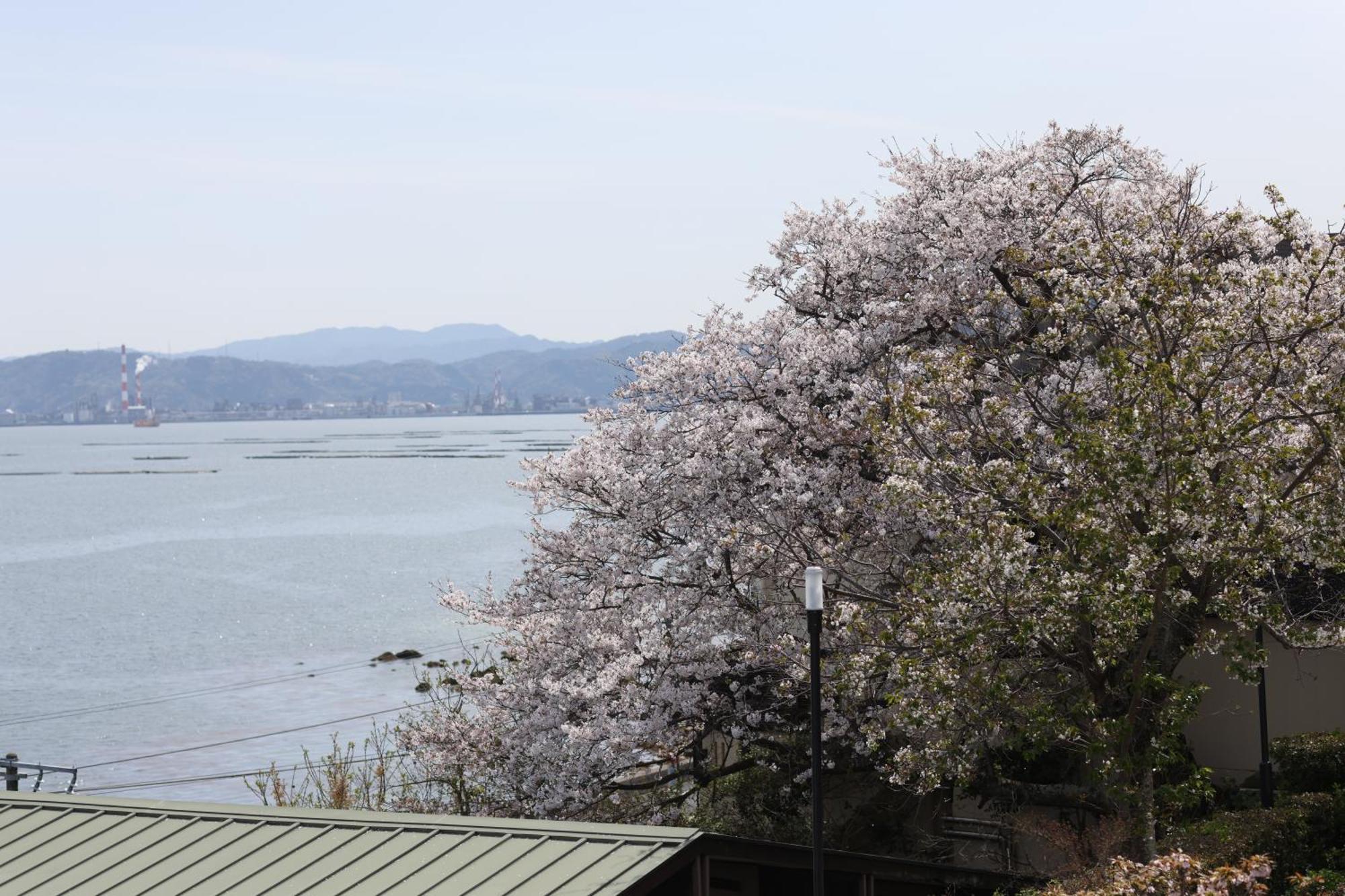 Miyahama Grand Hotel Hatsukaichi Esterno foto